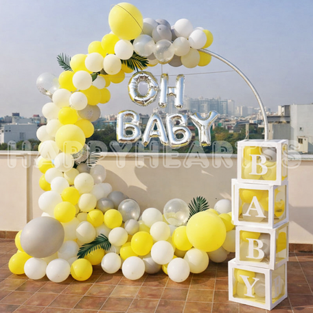 Little Sunshine Baby Setup