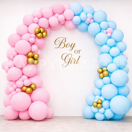 He or She Celebration Decor