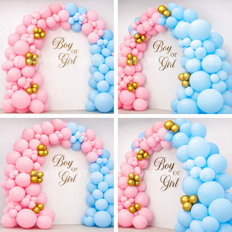 He or She Celebration Decor